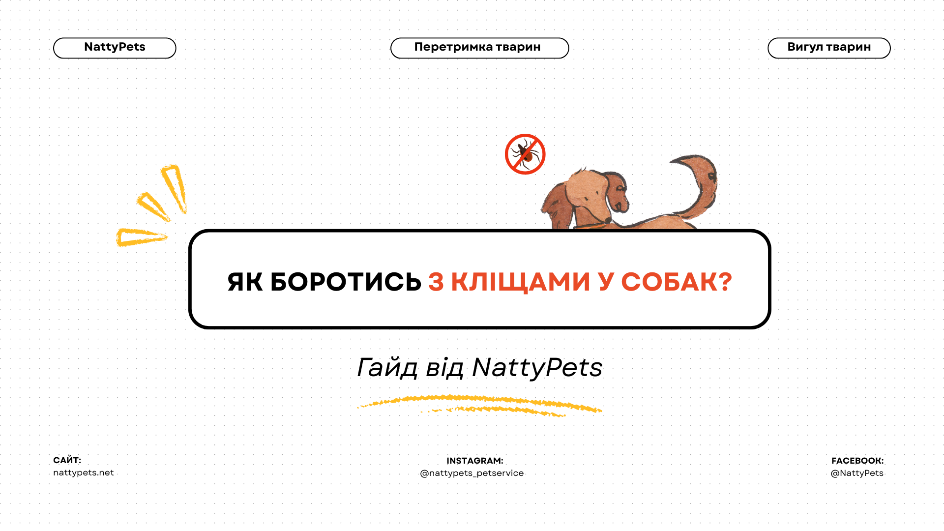 Як боротись з кліщами у собак? | Гайд від NattyPets