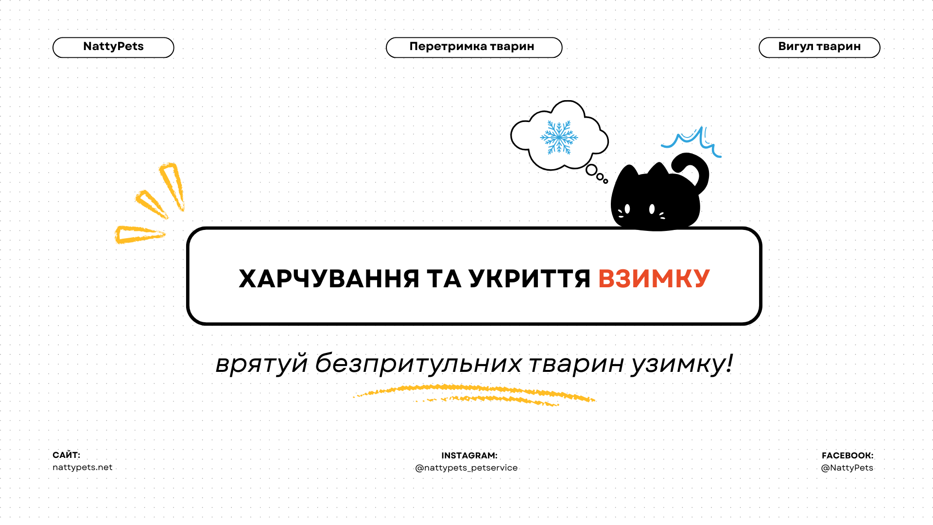 Зима: як допомогти безпритульним тваринам з харчуванням та укриттям