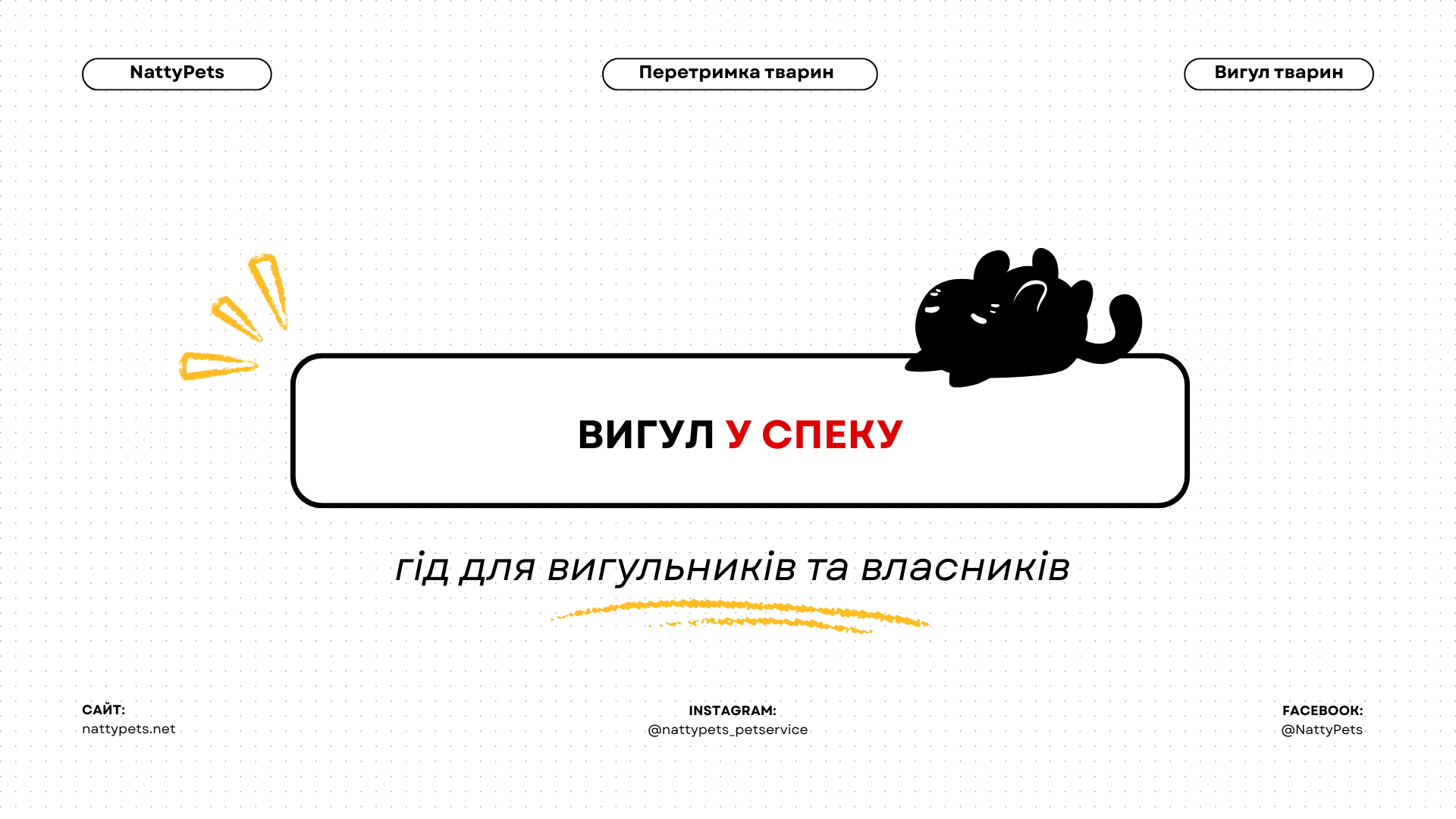 Як я ледь не "зварив" свого пса на асфальті (і як ти цього уникнеш)