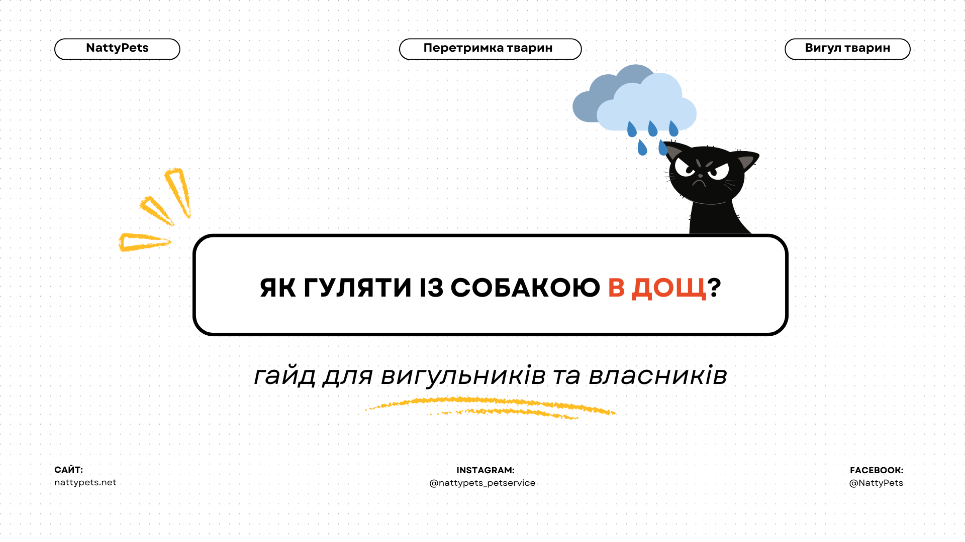 Чому собака відмовляється виходити під дощ: 3 причини та що з цим робити
