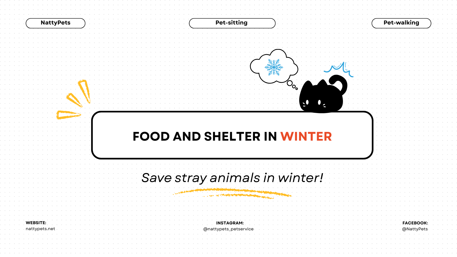 Winter: How to Help Stray Animals with Food and Shelter