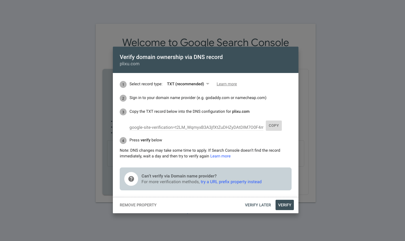 The Google Search Console domain verify option for txt records