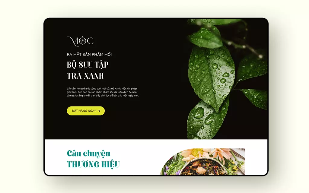 Mộc - Tinh túy từ thiên nhiên