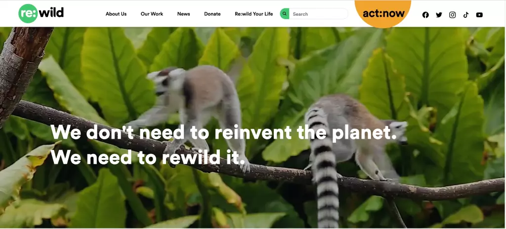 Trang web của Leonardo DiCaprio