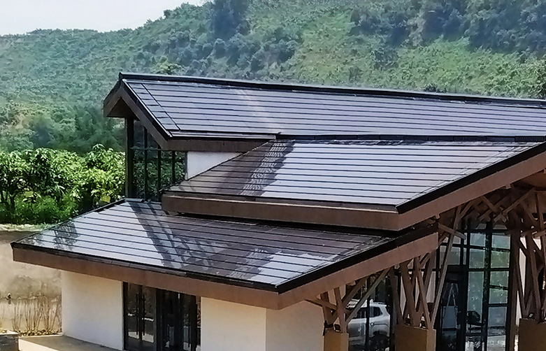 China's Breakthrough in Solar Roof Tile Technology: The Future of Green Energy