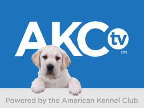 AKC TV LIVE