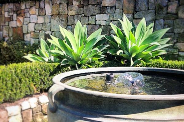 the trick to keeping your water feature clean