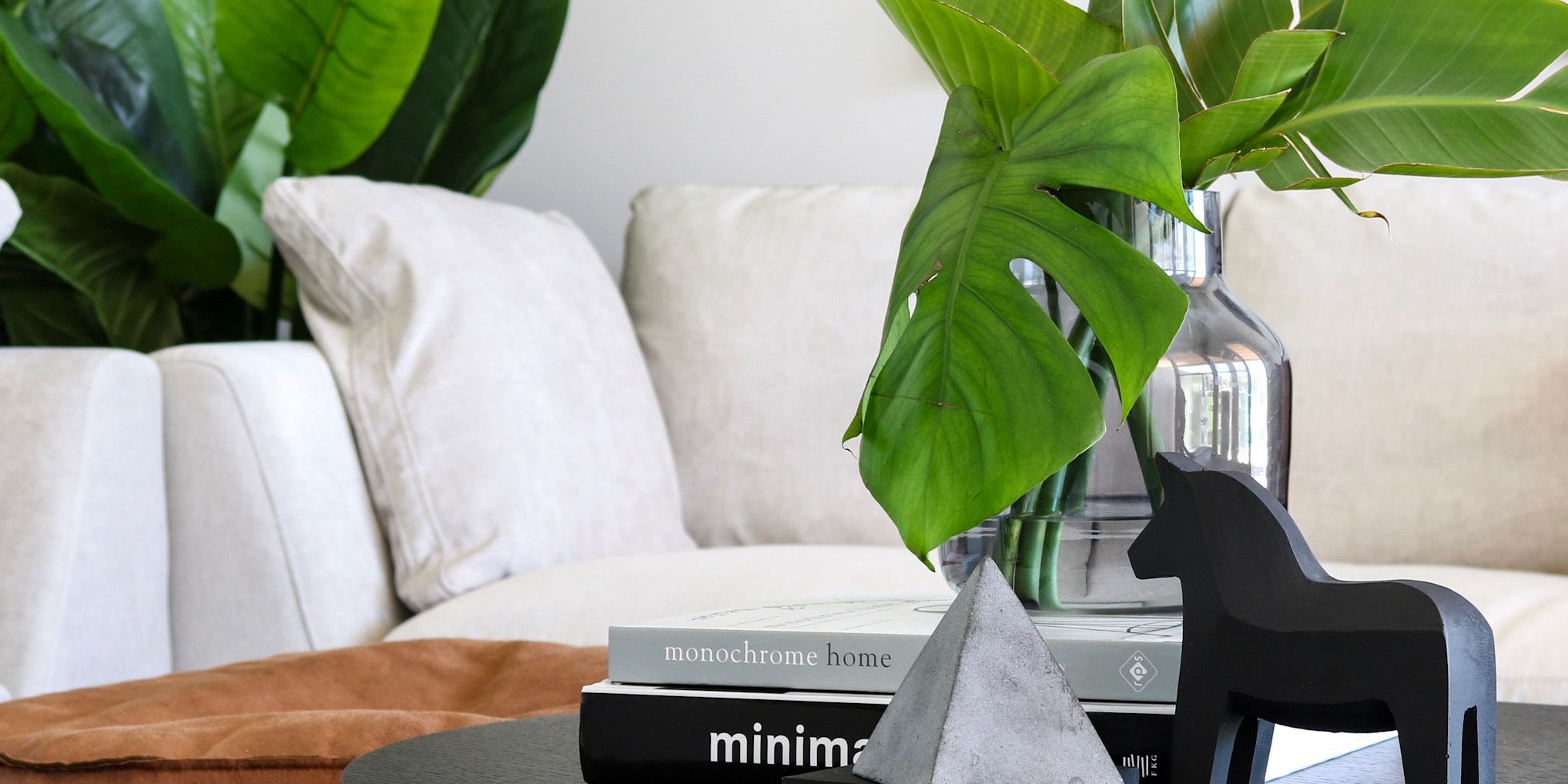 A guide to choosing the perfect indoor plant for each room in your home