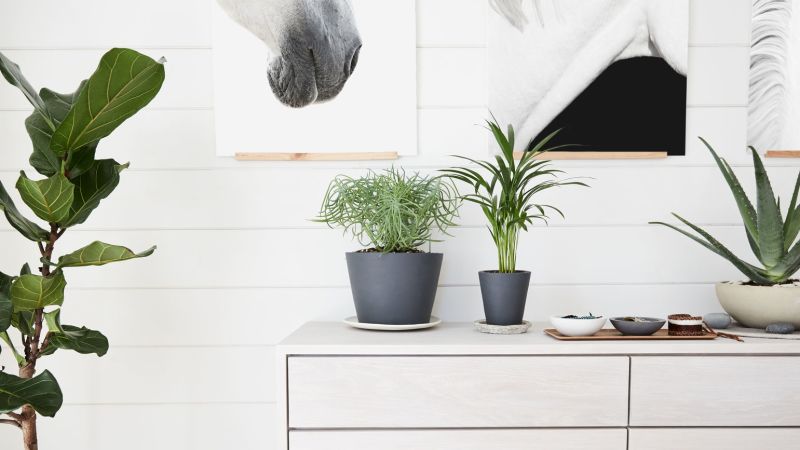 Don't risk it: 2019 interior trends you may well come to regret