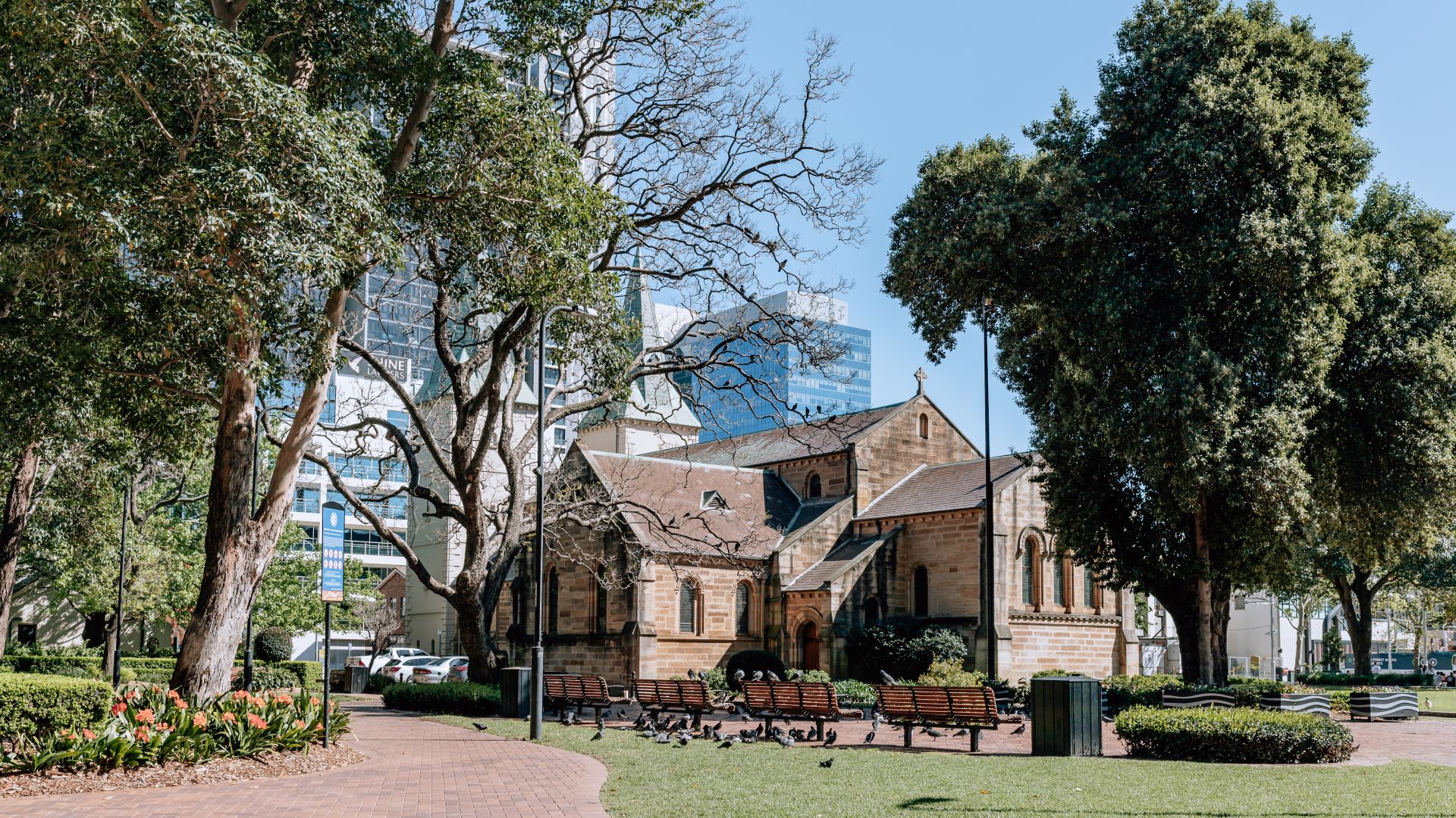 Neighborhood_Parramatta_Photographer_Vaida_Savickaite-1_iccsjn