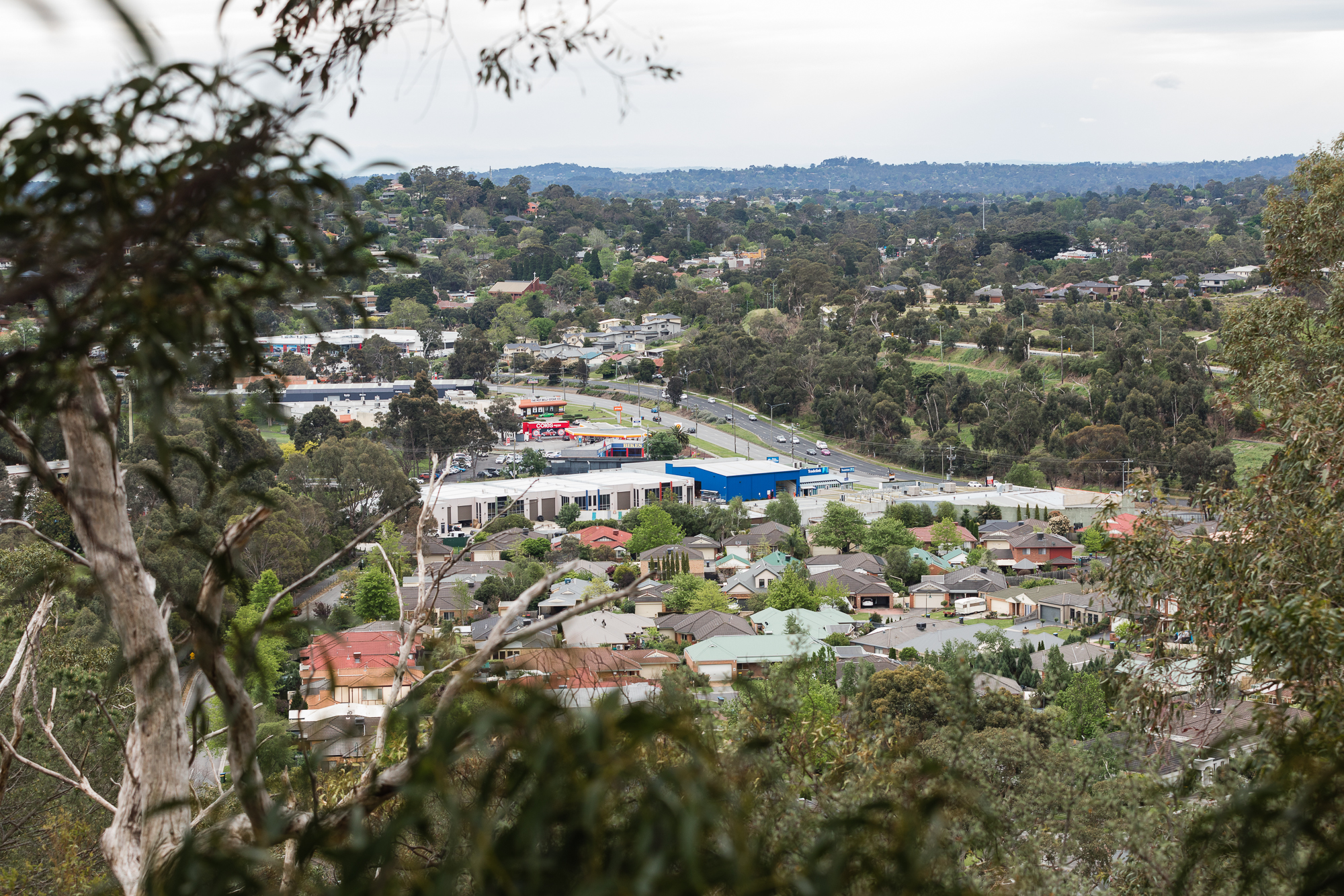 Why Upper Ferntree Gully rated five stars in the Domain Healthy
