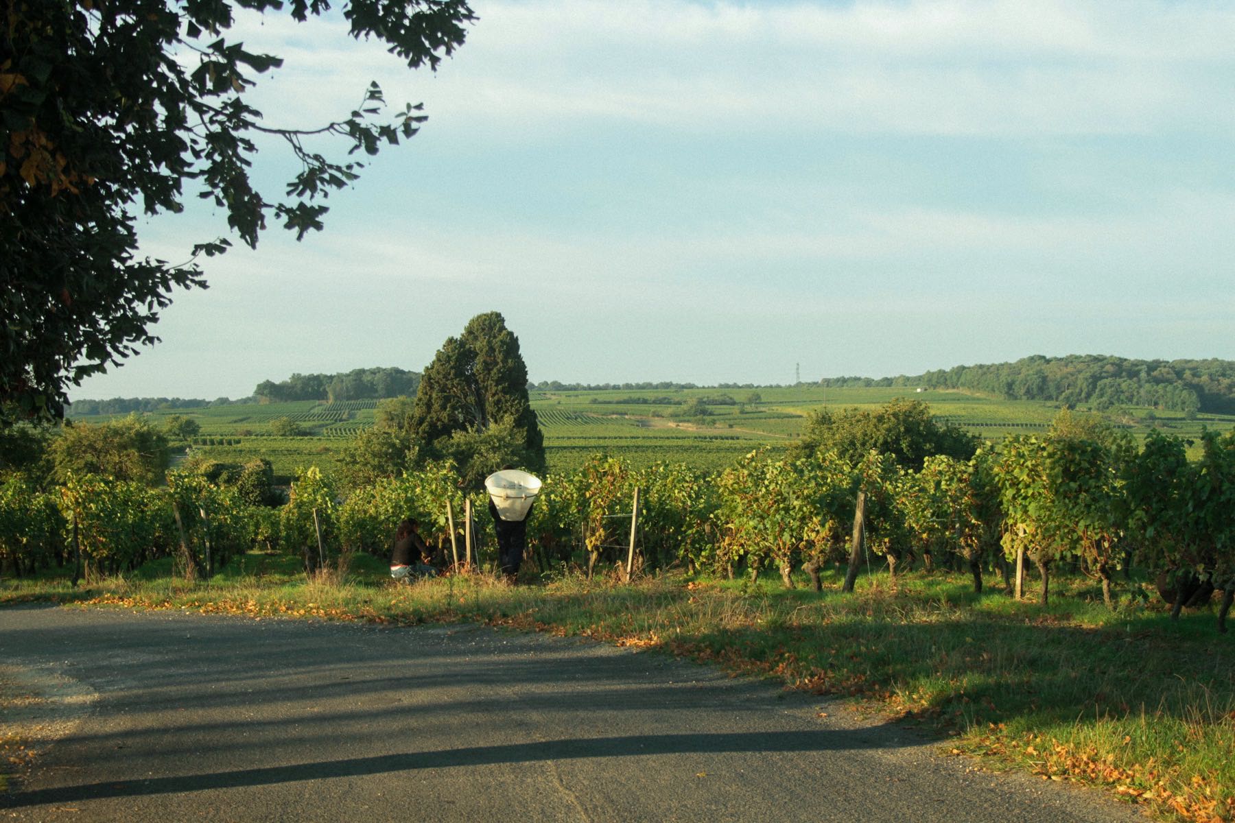 Domaine du Valbrun