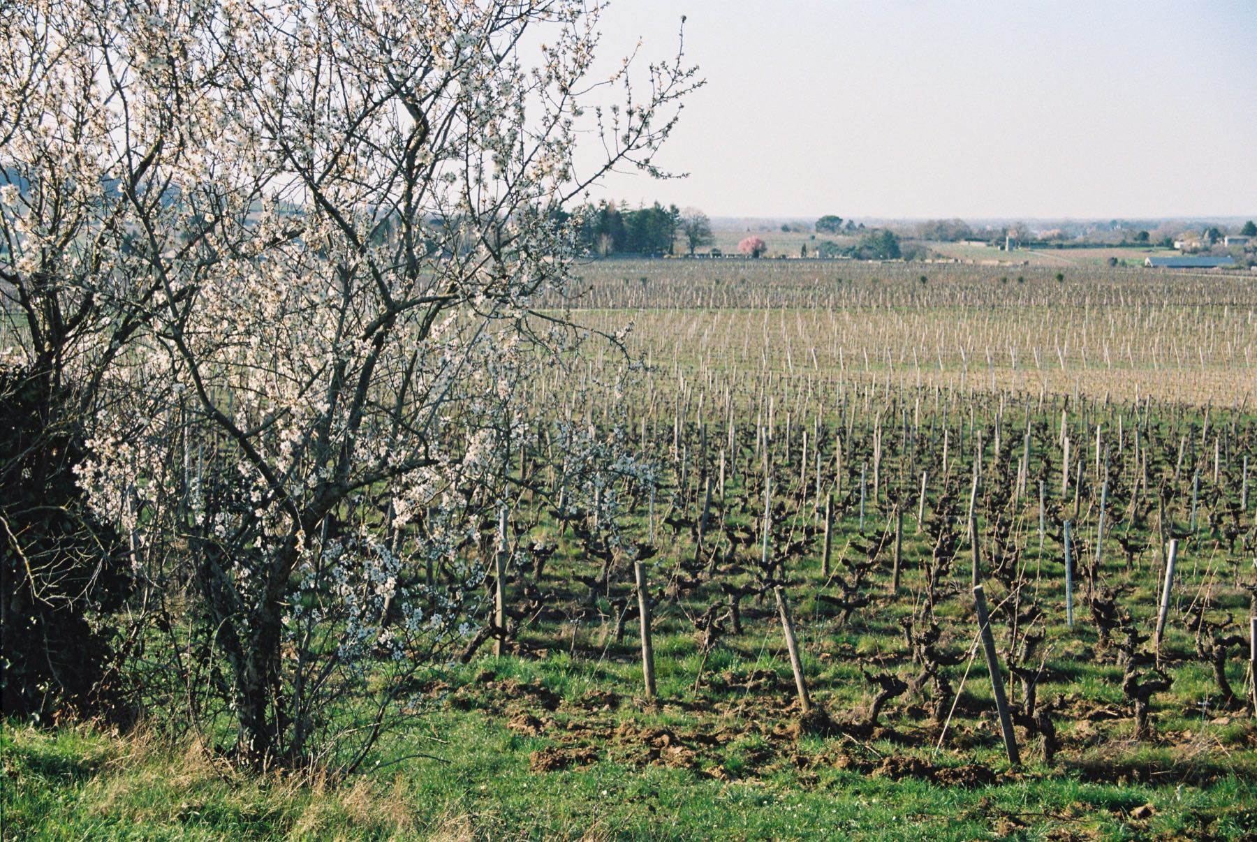 Domaine du Valbrun