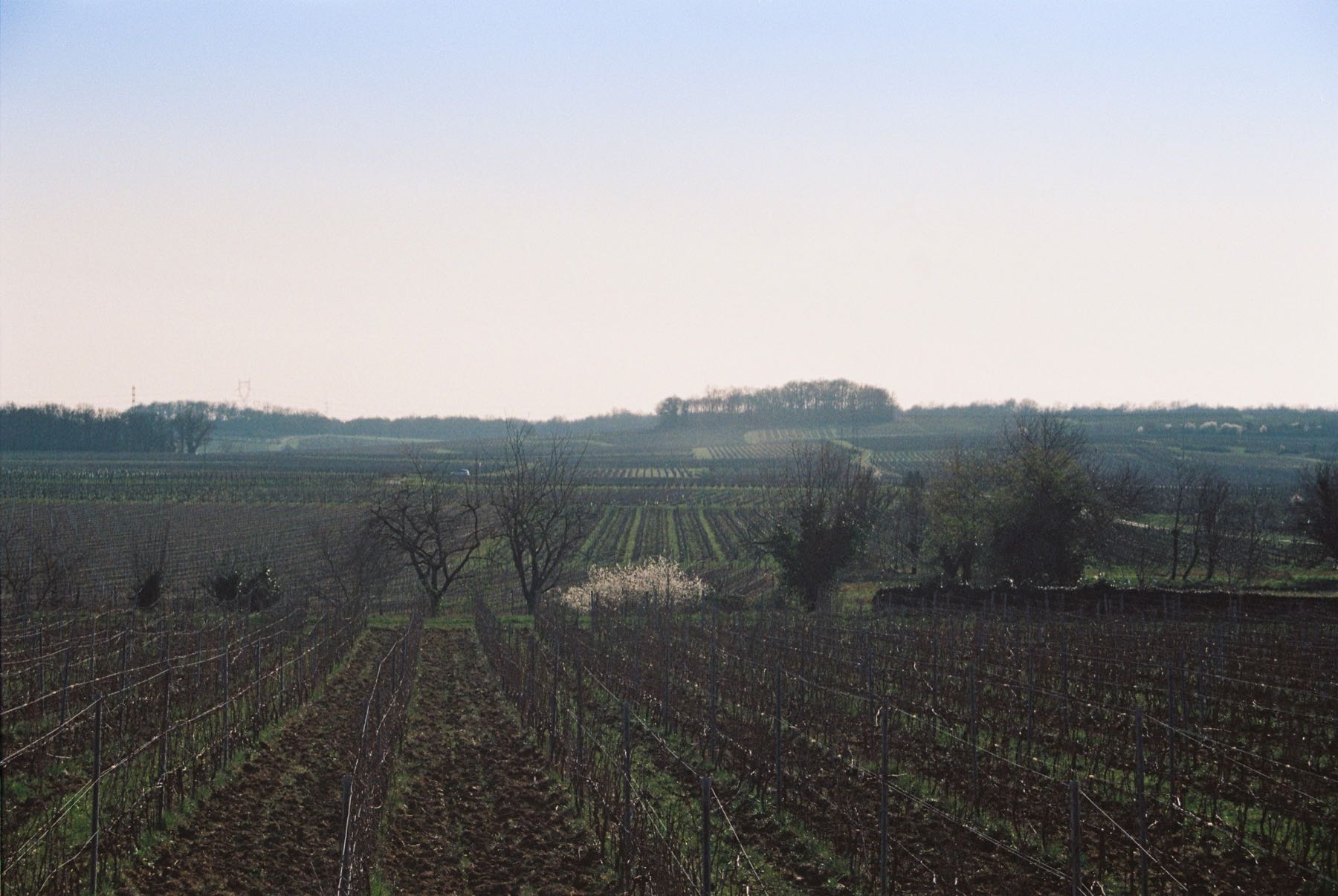 Domaine du Valbrun