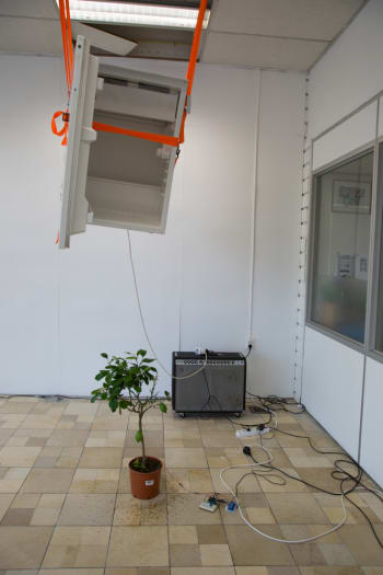 koelkast die uit het plafon hangt met deur open druppelt water op citroen boompje die eronder staat. in de achtergrand staat een gitaar versterker. in de plant zit een vochtmeter.