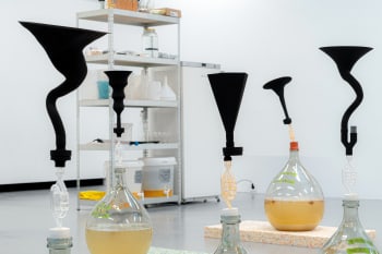 The installation called Gut Feeling of Domas van Wij