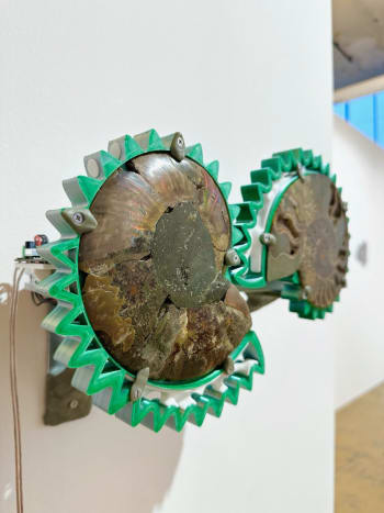 An Art Science Salad, art rotterdam, 2024