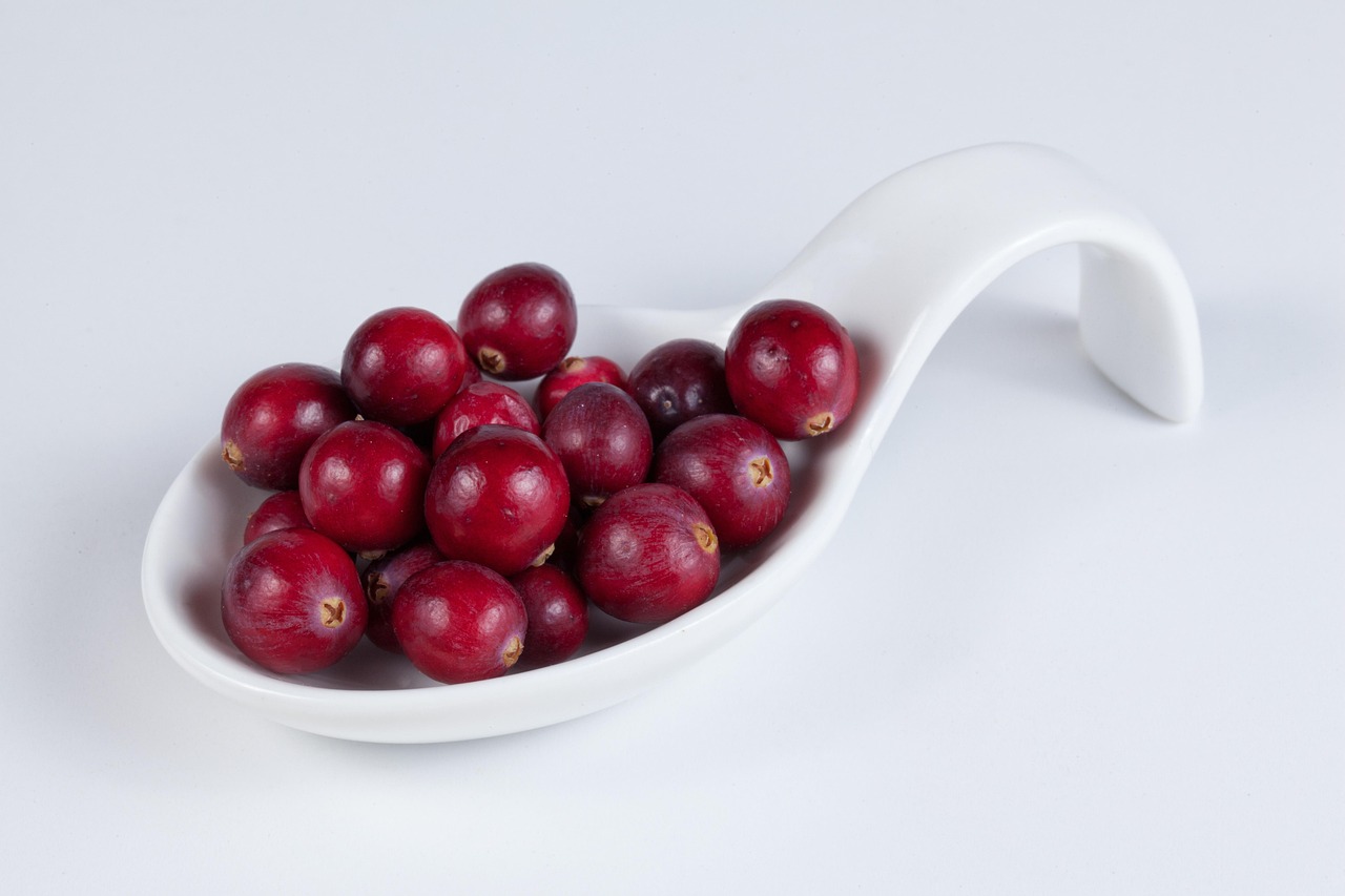 fresh cranberry red fruit antioxidant healthy