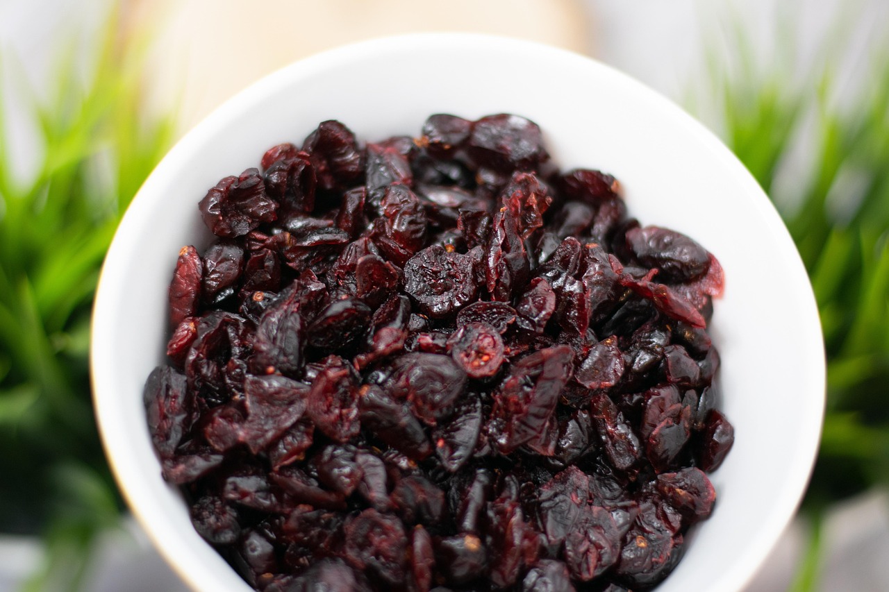 dried cranberry bowl healthy snack antioxidant red