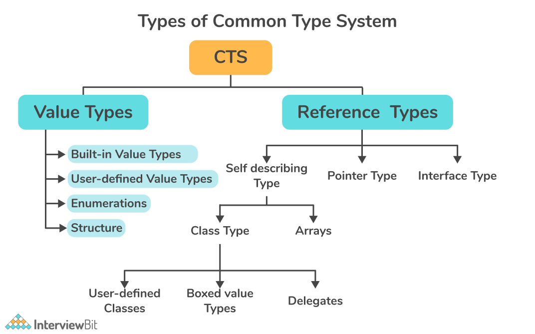 common type system