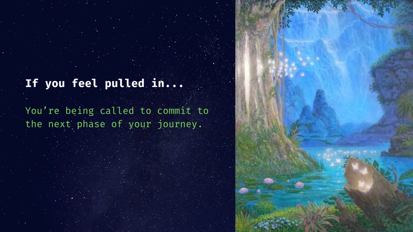 Slide 8