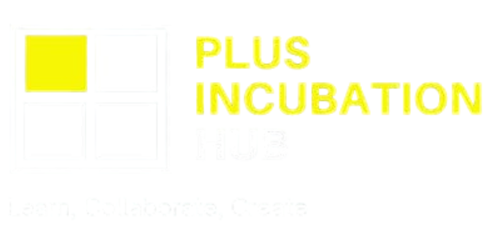 Plus Hub Logo