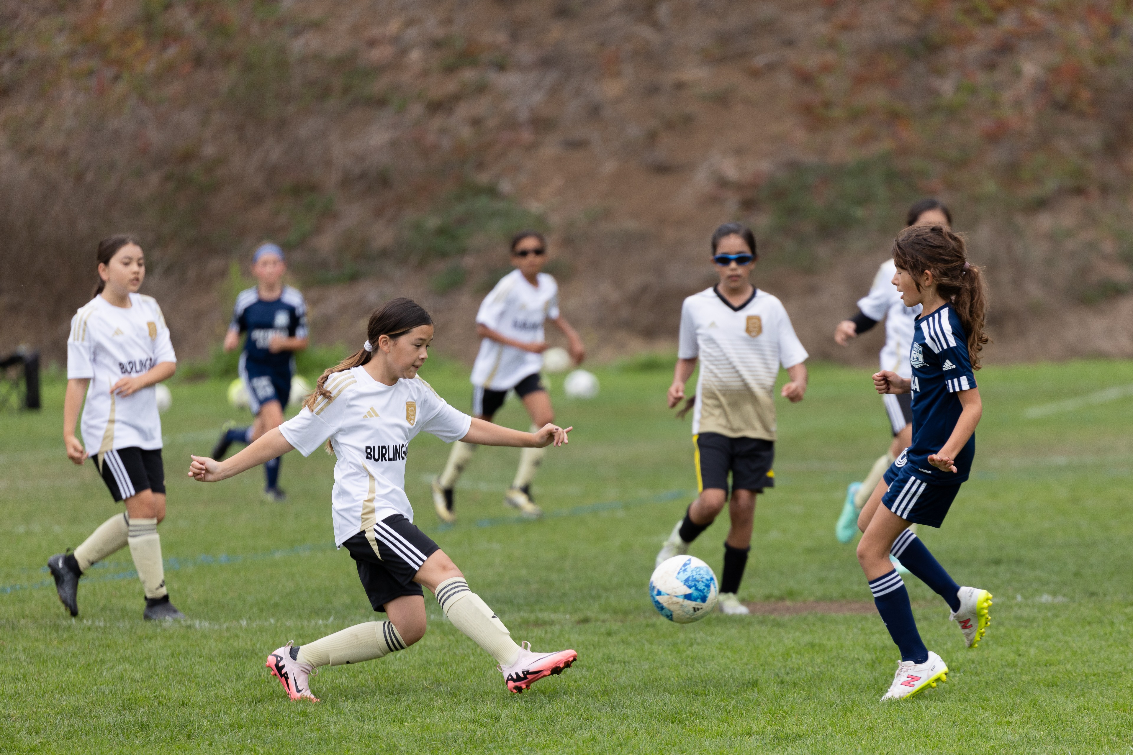 BSC 2014 Purple vs. Pacifica