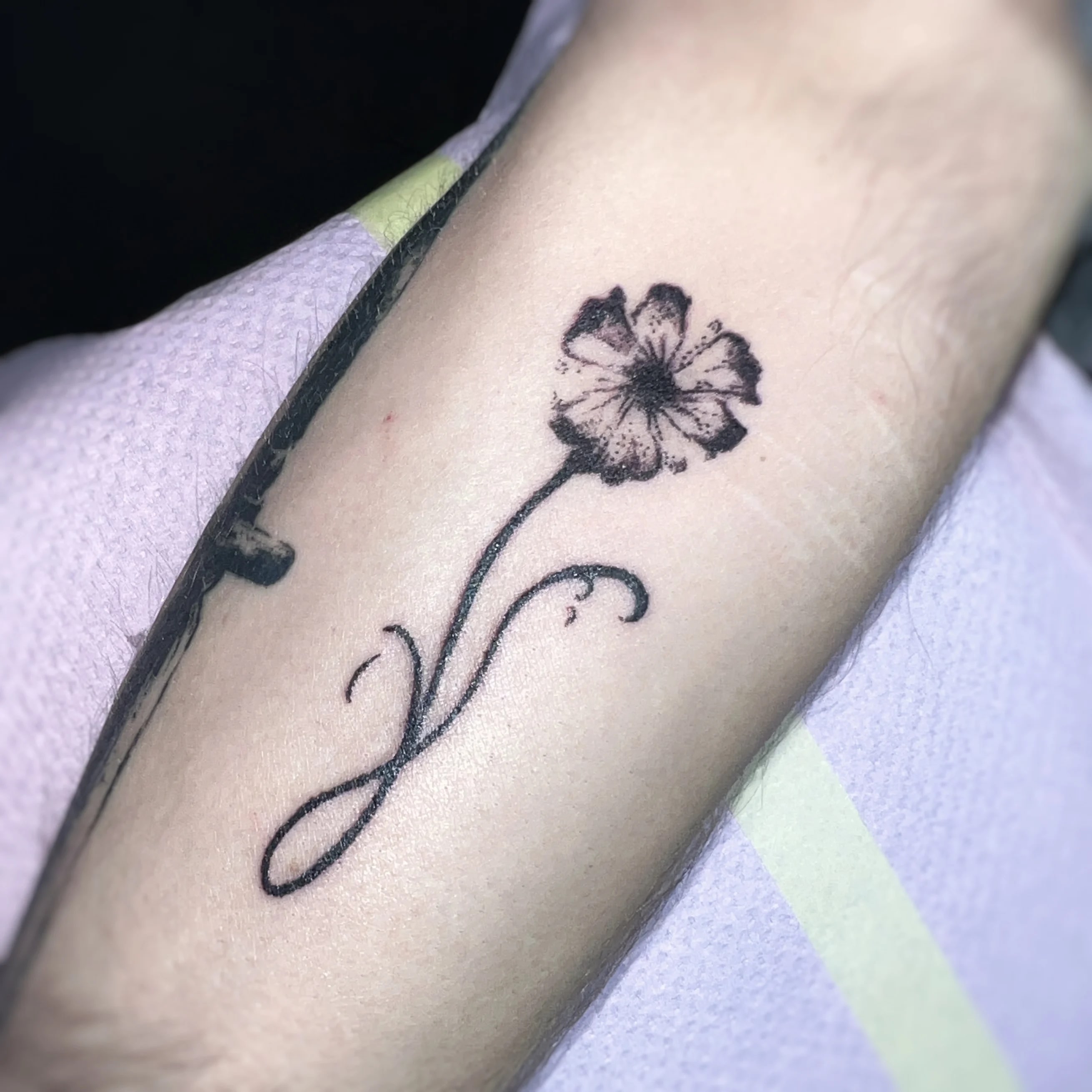 Botaniczny