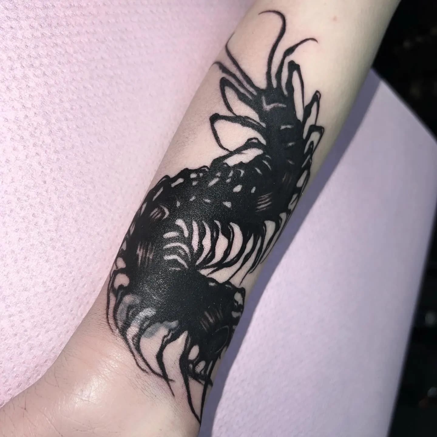 Tatuaż przedstawiający czarną skolopendrę w stylu blackwork na przedramieniu.