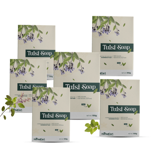 Tulsi Soap 100g(Pack of 6)