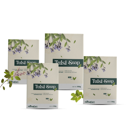 Tulsi Soap 100g(Pack of 4)