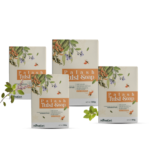 Tulsi Soap Palash 100g(Pack of 4)