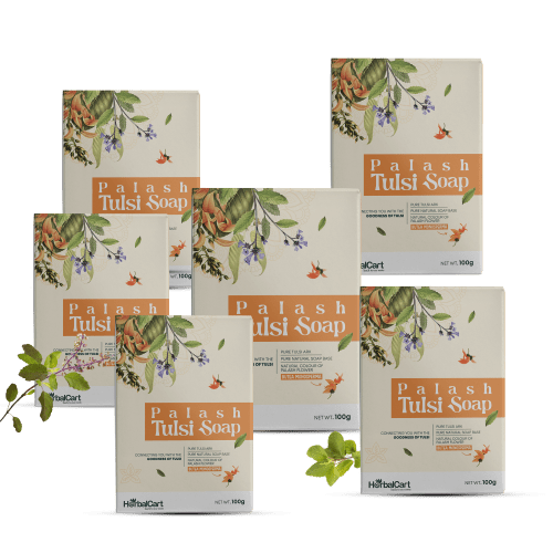 Tulsi Soap Palash 100g(Pack of 6)
