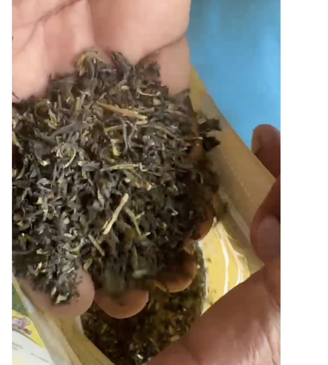 btri-green-tea-leaves