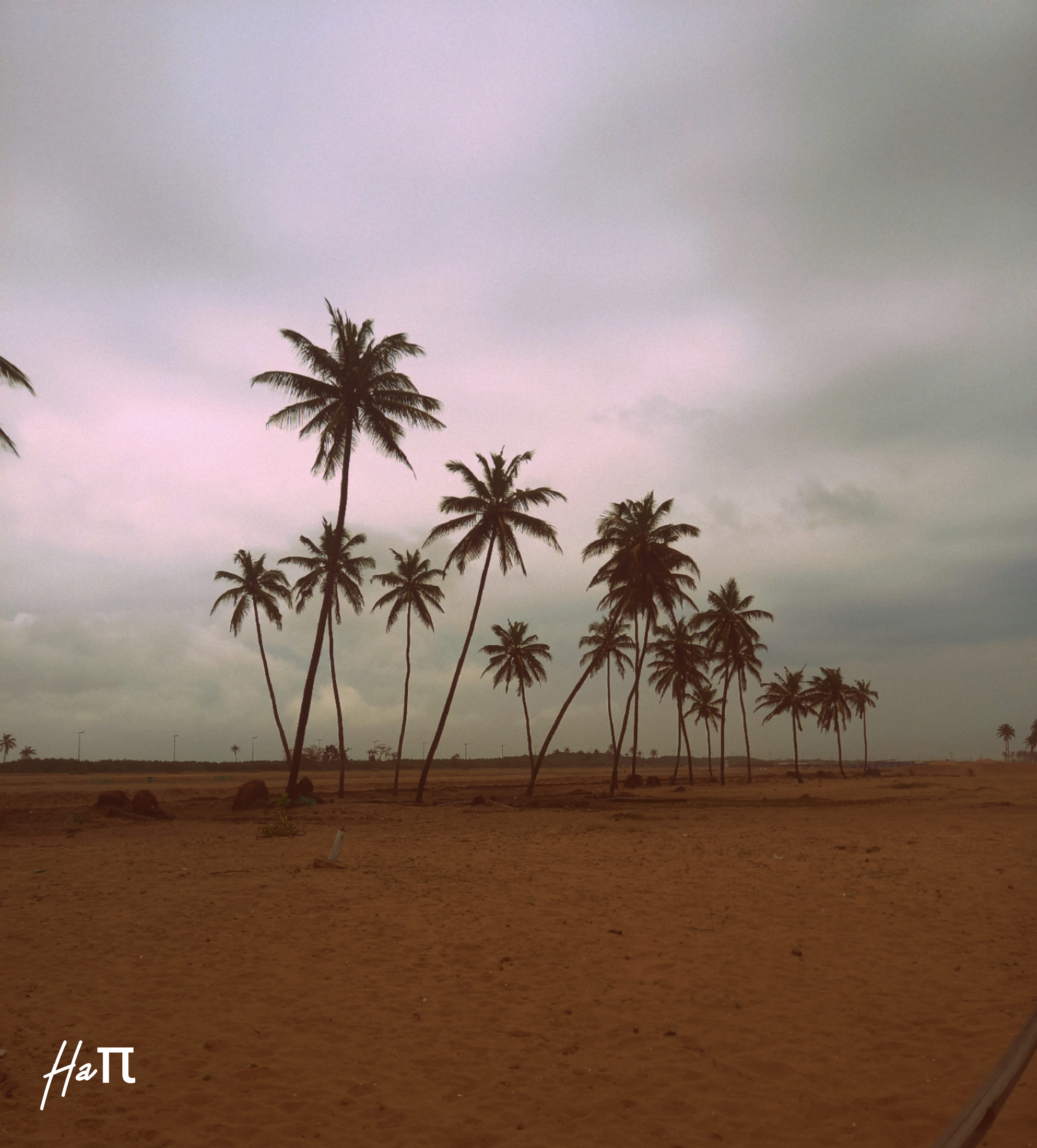 Nature Photography