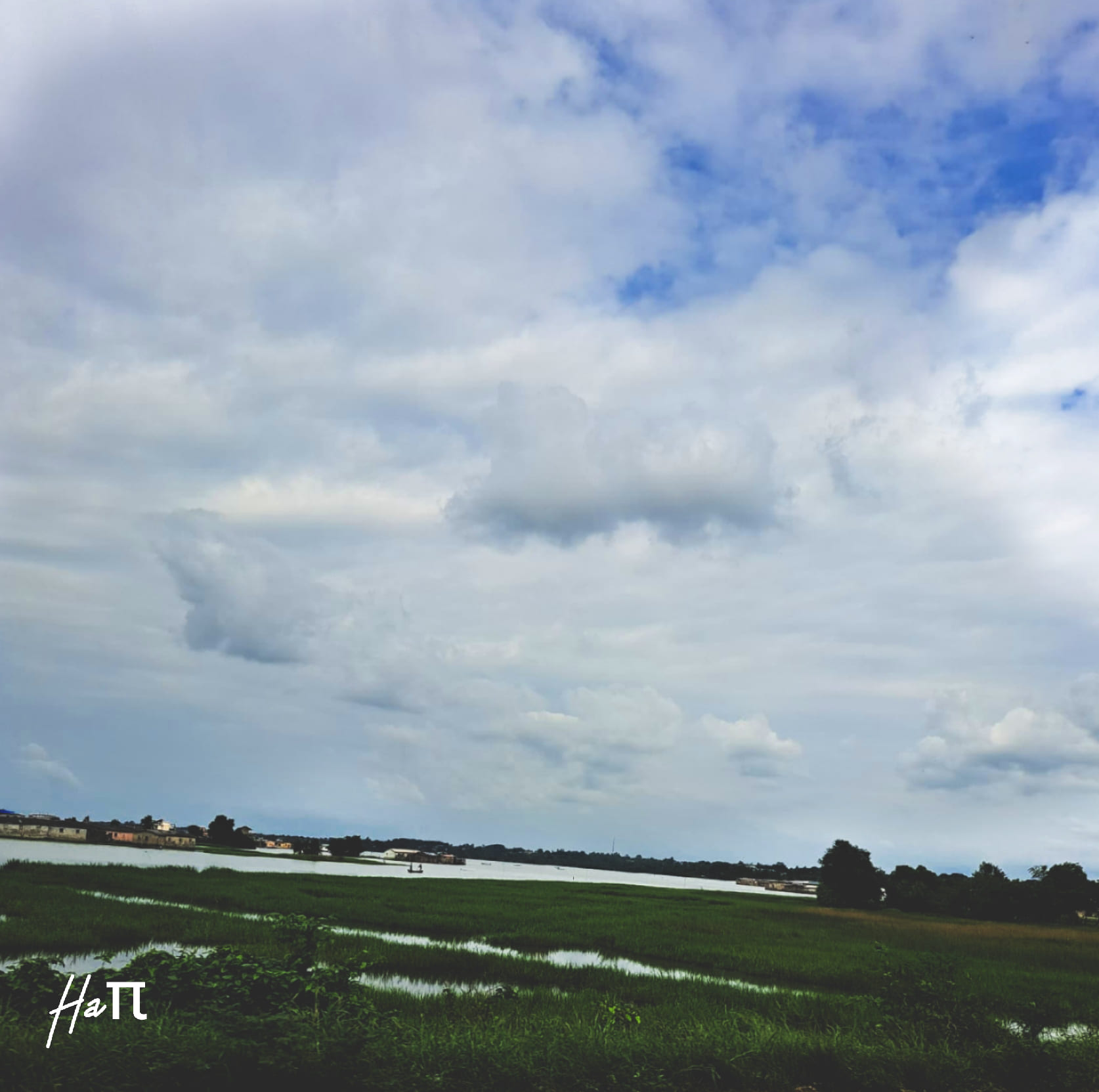 Nature Photography