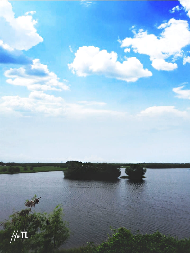 Nature Photography