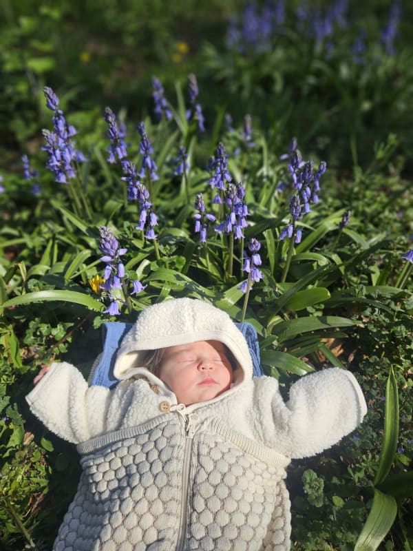 Bluebells!