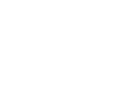 Top Inox Logo