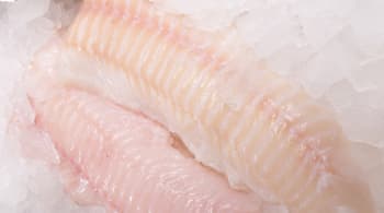 Torskefilet lettsaltet (tint)