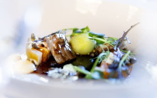 Grillet sild og norske tomater