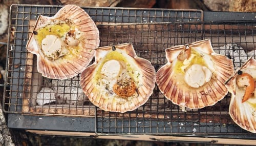 Grillede kamskjell med estragonsmør