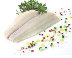 Steinbitfilet u/skinn (tint)