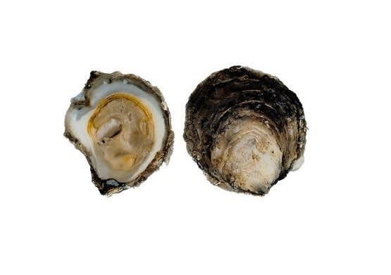 Østers Flat 50-70g liten norsk