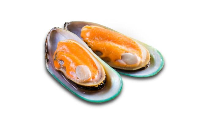 Greenshell 800g frys