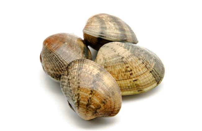 Vongoleskjell hvite 1kg frys