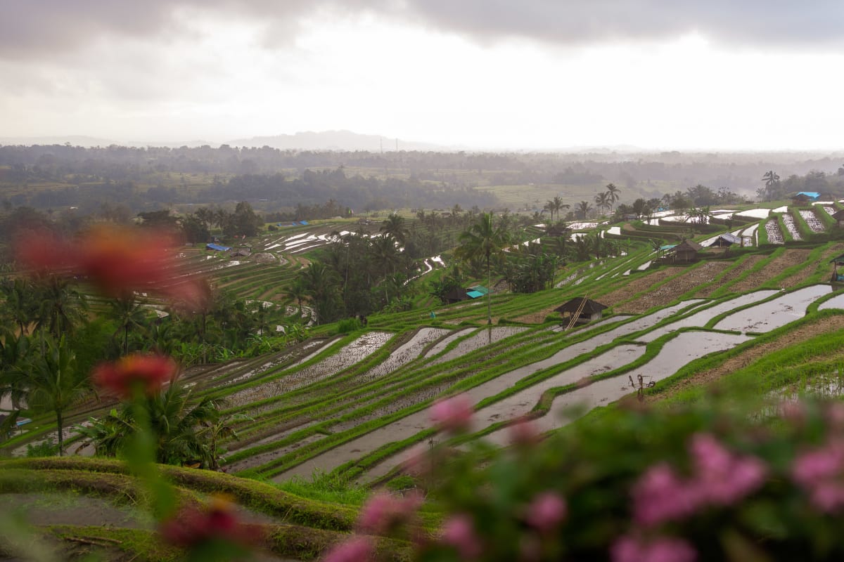 Arriving for the Bali Grief Trip