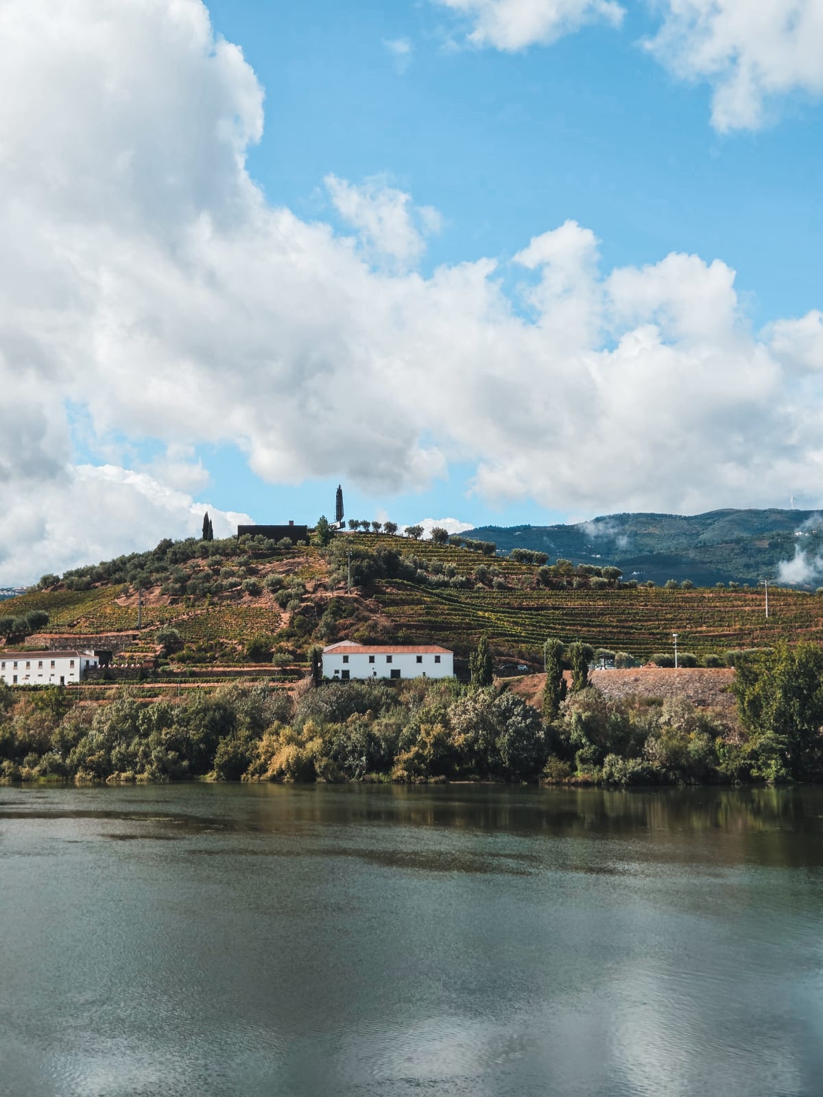 On the Douro River during the Portugal Grief Trip