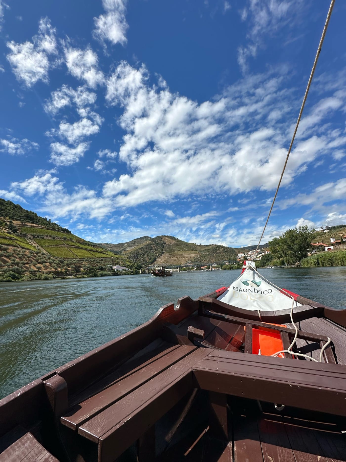 Boat Cruise on the Douro River: Where Grief Flows Naturally
