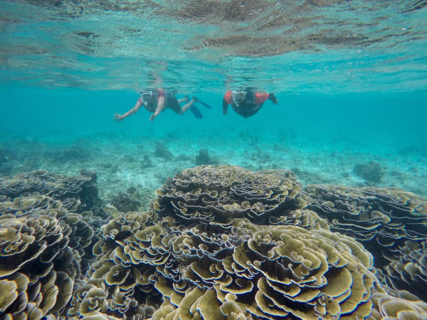 A moment from the Maldives Grief Trip